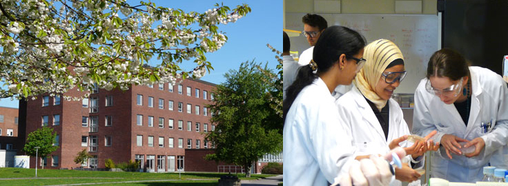 Students in the laboratory in Kemicentrum. Photo