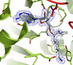 Proteine Illustrtation.