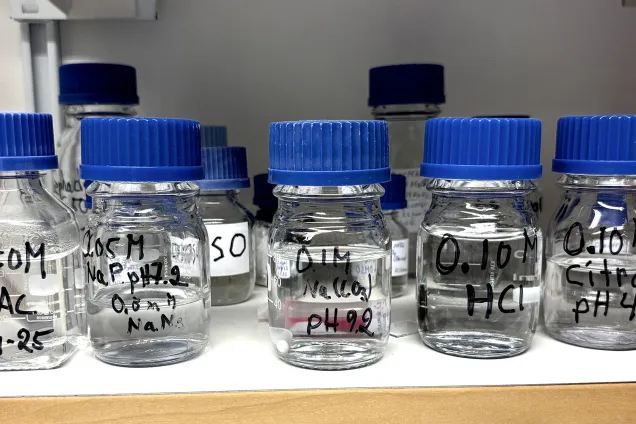 Bottles on a shelf in a lab. Photo.
